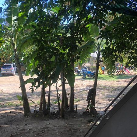 The Riverdeck Accommodation And Backpackers Knysna Ngoại thất bức ảnh