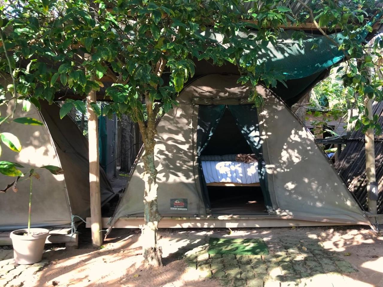 The Riverdeck Accommodation And Backpackers Knysna Ngoại thất bức ảnh