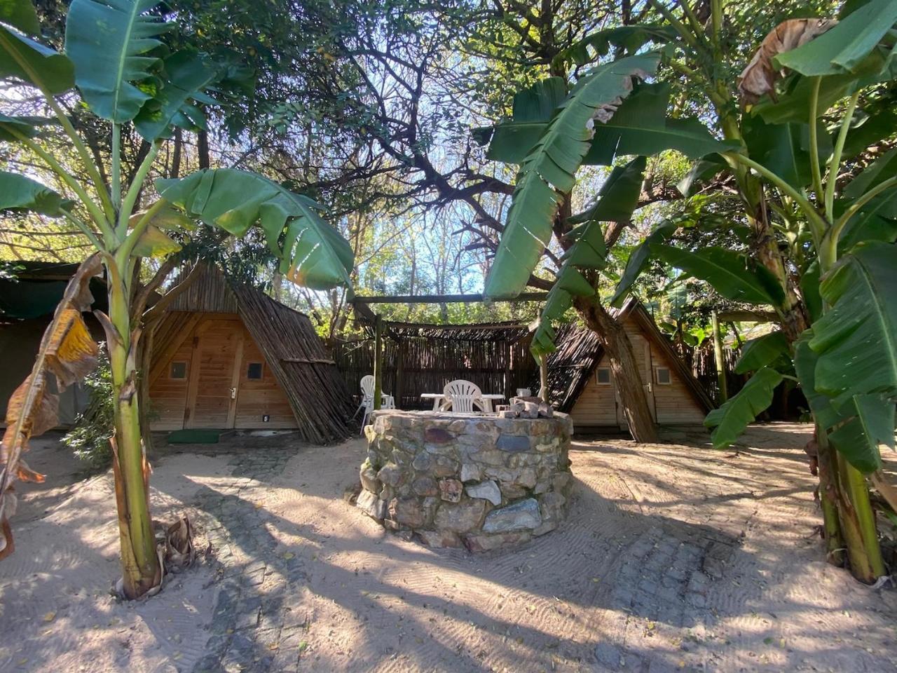 The Riverdeck Accommodation And Backpackers Knysna Ngoại thất bức ảnh
